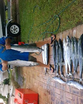 another day at palm beach reef