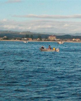 another day at palm beach reef