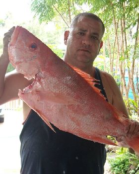 joe and friends out on undine reef north queensland