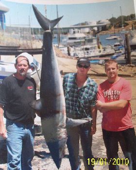 Tas. shark comp we came third 71 -8 kg