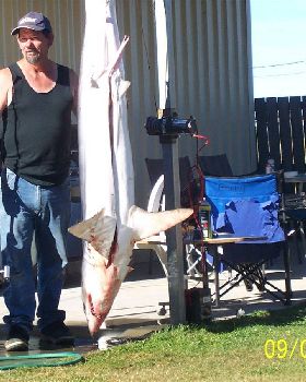 Tas, shark comp we came third 71 -8 kg
