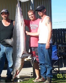 Tas. shark comp we came third 71 -8 kg