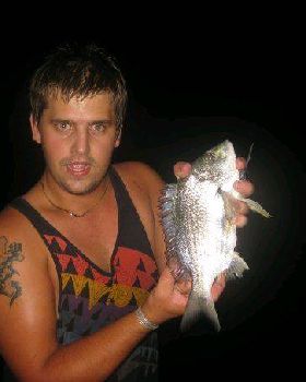 Bream