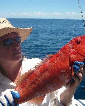 Scruffy outfishes Legaless again at Batt reef