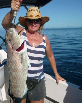 Scruffy outfishes Legaless again at Batt reef