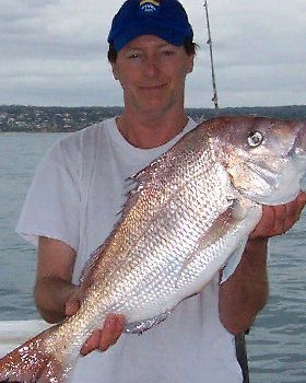 6kg October Snapper