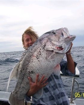 nice dhuie off bunno