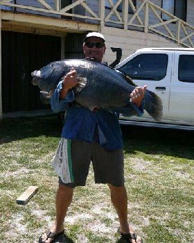 big blue