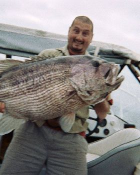big dhu