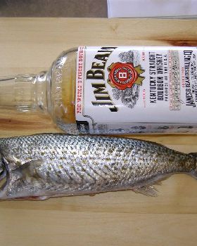 nice size herring