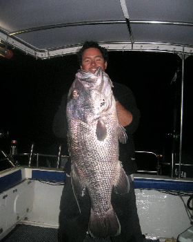 fish 027