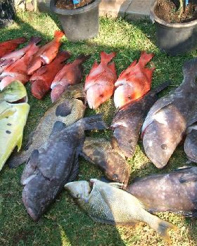 fishing 013