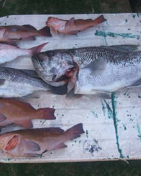 Fishing