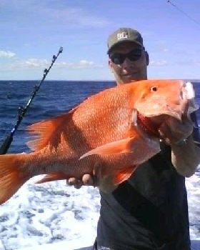 southern sports and tackle r&d