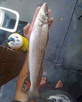Fishing