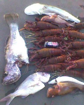 Fishing