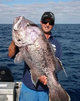 14.5kg. gota luv it Nev!!!!