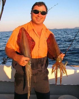 esperance squid