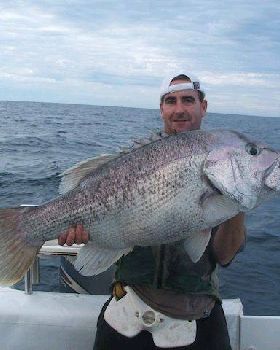 go to wafishaman.com to see more