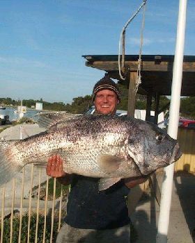 20.5kg