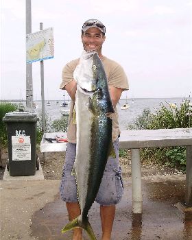 16 kg kingfish from jervis bay