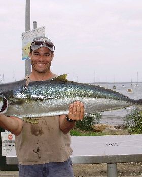 16 kg kingfish from jervis bay