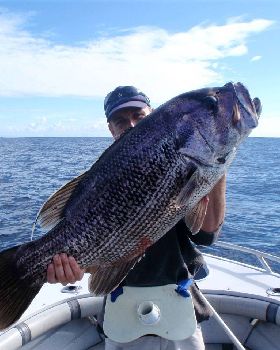 jigged jewi ,16 kg !