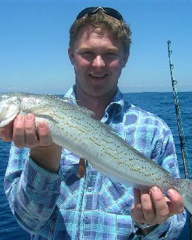 deepsea king george whiting