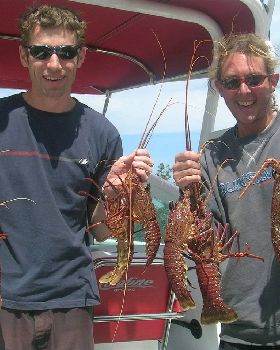 open day crays