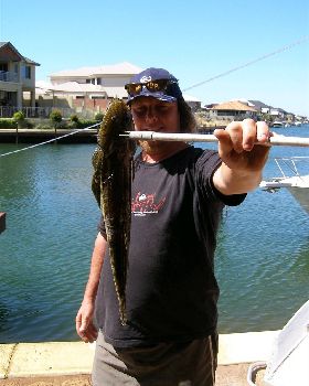 got him mandurah canals