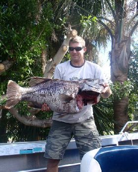 14 kg dhu