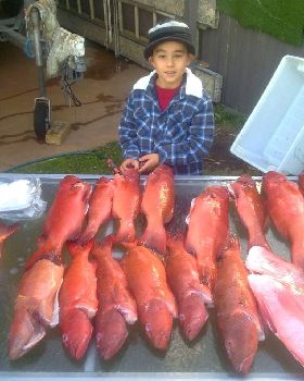 some trout