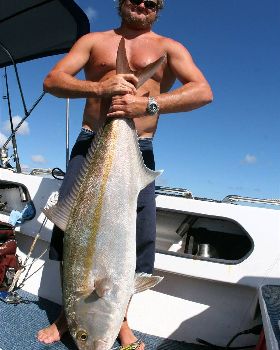 10-06-7 shark bay 235