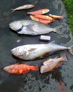 Fishing