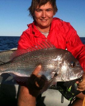 Softy Snapper