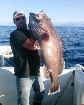 grey band 28.5kg