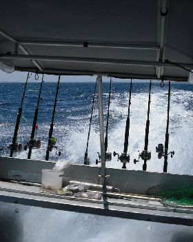 On the move