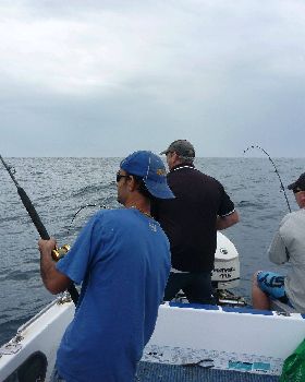 all hooked up at once ! thats fishing!