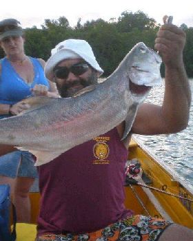 salmon