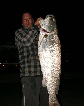Mark's Mully 22kg