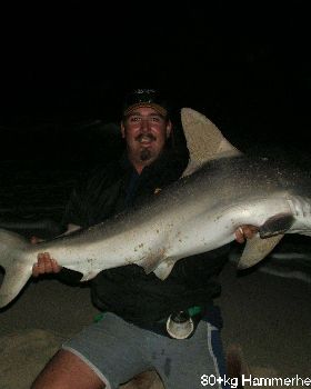 Hammerhead on tailor rig no wire