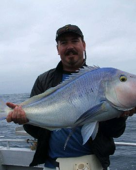 7kg Queen snapper