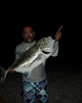 Giant Trevally