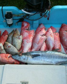 Mixed bag