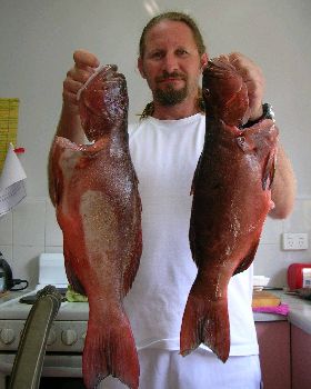 2 of 20 trout