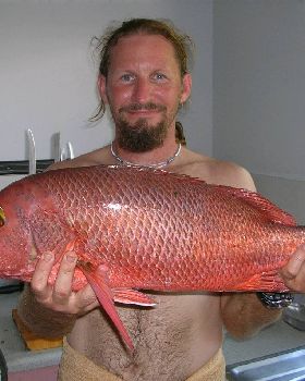 6.7kg Jack