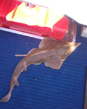 Fishing