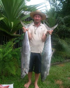 12kg and 14 kg mackeral