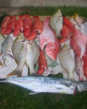Mixed bag