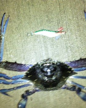 big bluey